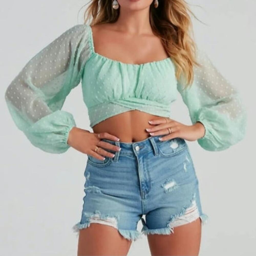 NWT Windsor Mint Green Breezy and Chic Sheer Clip Dot Crop Top Fairy Boho